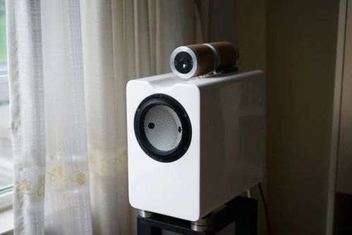 黃雷的2020年度精品音響器材與唱片推薦