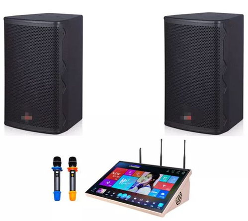 預(yù)算6千到1萬的家庭KTV音響設(shè)備選購指南